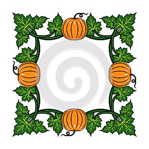 Frame with orange pumpkins and green leaves. Floral vector illustration.