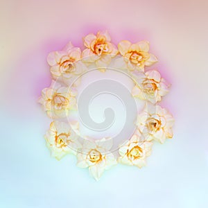 Frame with pale pink roses on holographic background. Light romantic floral design