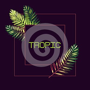 Frame with palm leaves and the word `tropic` on a dark background. Lettering. Border. Exotics.
