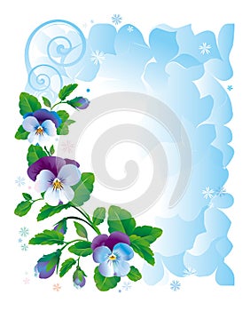 Frame pansy flowers