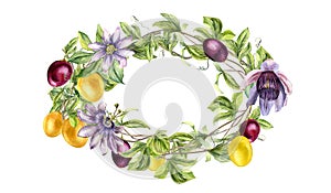 Frame of passion flower plant and fruits watercolor illustration isolated on white. Blue tropical plant, maracuja hand