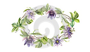 Frame of passion flower plant watercolor illustration isolated on white. Blue tropical plant, stem and foliage hand