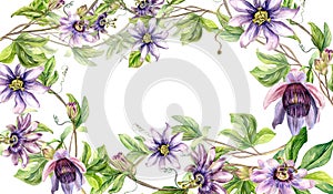 Frame of passion flower plant watercolor illustration isolated on white. Blue tropical plant, stem and foliage hand drawn. Design