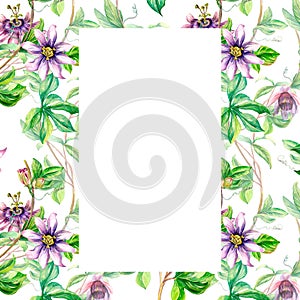 Frame of passion flower plant watercolor seamless pattern isolated on white.