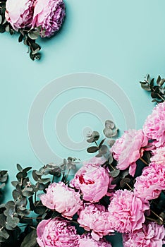 Frame pattern of pink peonies, eucalyptus flowers on pastel blue background. Flat lay, top view. Floral composition. Wedding,