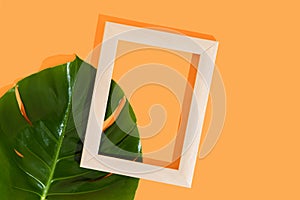 Frame for photo or painting and monstrea leaf on bright marigold yellow background. Mockup orangetrend. Place to insert text,