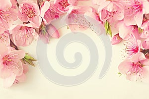 Frame of pink flowers, branches, leaves and lilac petals on white background. Flat lay, top view