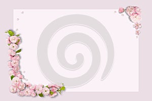 Frame of pink flowers, branches, leaves and petals with space for text on pink background. Flat lay, top view, copy