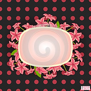 Frame pink flowers, gray background