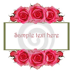 Frame with pink rose flowers