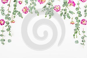 Frame of pink roses and eucalyptus on white background. Flat lay, top view