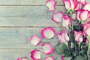 Frame of pink roses on turquoise rustic wooden background with c