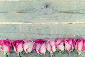 Frame of pink roses on turquoise rustic wooden background with c