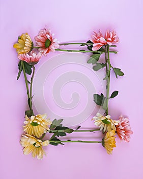 The frame from pink and yellow chrysantemum flowers