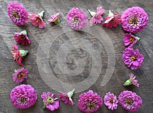 A frame of pink zinnia flowers on wood