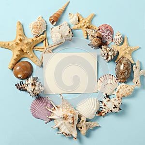 Frame of Plenty different seashells on a blue background. Seaside themed backdrop for travel agency template advertising