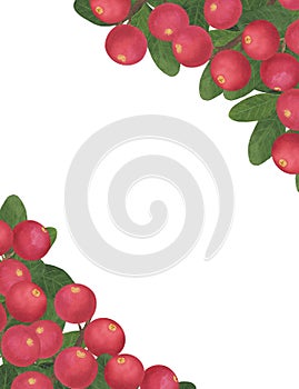 Frame Postcard Berries Cranberry branch leaves watercolor botanical illustration