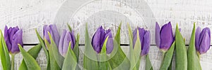 Frame of purpleviolet tulips on white rustic wooden background