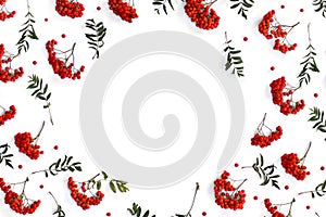 Frame of red berries European rowan  Sorbus aucupari  on a white background with space for text. Top view, flat lay