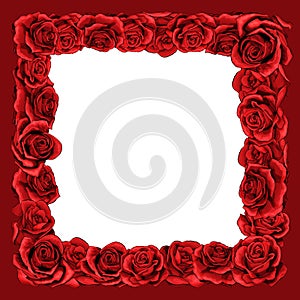 Frame of red blossom rose flowers for greeting card, wedding or Valentines day.