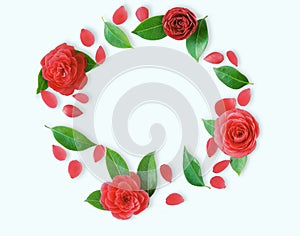Frame of red Camellia flowers, leaves and red petals on light cyan background. Flat lay, top view. Frame of spring flowers.
