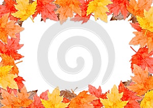 Frame of red leaves in autumn concept  isolated on white background. Flat lay, top view, copy space.