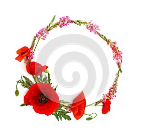 Frame of red poppies Papaver rhoeas, common names: corn poppy, corn rose, field poppy, coquelicot, headwark, pink sainfoins