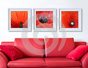 Frame with red poppy flora over the red couch
