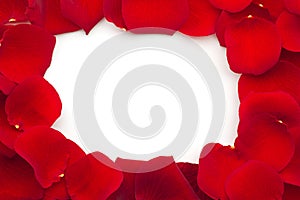 Frame of red rose petals