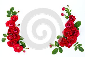 Frame of red roses on a white background with space for text.