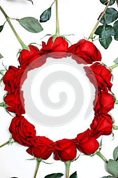 Frame of red roses on a white background with space for text. Top view, flat lay. Valentine decoration.