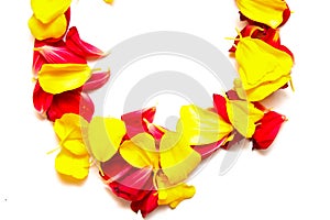 A frame of red and yellow petals with space for text