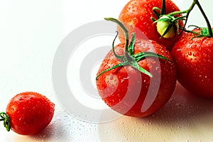 frame of ripe, large and small red tomatoes