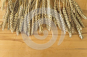 Frame of ripe wheat ears on a wooden background