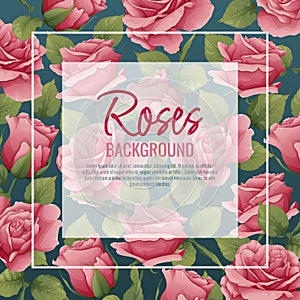 Frame with roses. Border with pink flowers and green leaves. Background, postcard with botanical elements. Vector