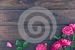 Frame of roses on dark rustic wooden background. Spring flowers.