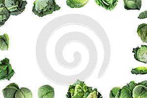 Frame of Savoy cabbages on background