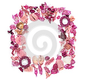 Frame with sea shells, dried flowers, twigs, leaves and petals isolated on white background. Lying down, overhead view