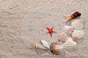 Frame of sea shells and starfish on sand