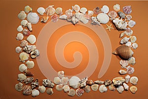 Frame with seashells