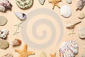 Frame of seashells on light background, flat lay. Space for text