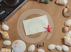 Frame of seashells on light background