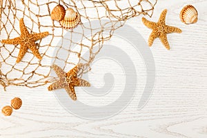 Frame of seashells and palm leaves on white wood