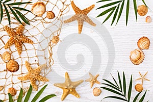 Frame of seashells and palm leaves on white wood