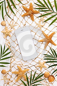 Frame of seashells and palm leaves on white wood