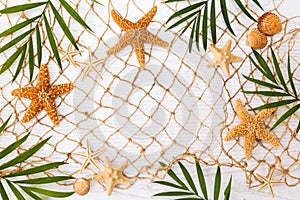 Frame of seashells and palm leaves on white wood