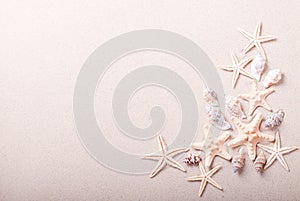 Frame of seashells on the sand