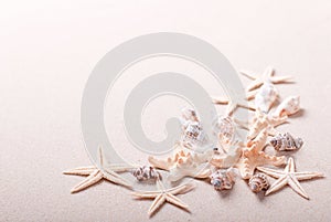 Frame of seashells on the sand