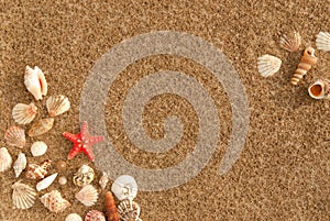 Frame of seashells with sand as background