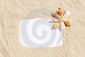 Frame with seashells and starfish on golden sandy beach. Summer vacation concept with copyspace for text message